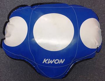 KWON turtle_icon